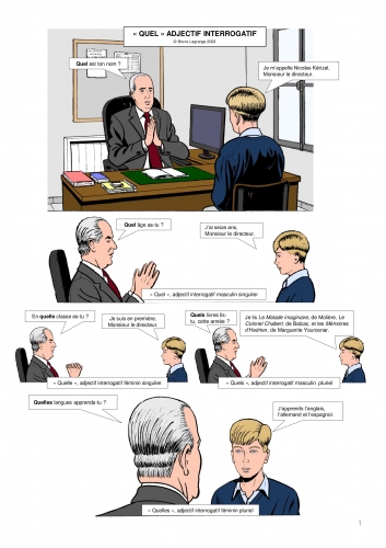 quel, adjectif interrogatif, grammaire, français, French, bande dessinée, comic strip