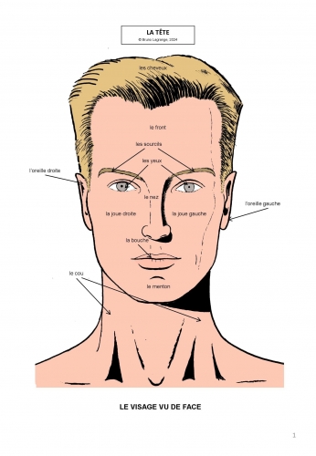 tête, visage, français, French